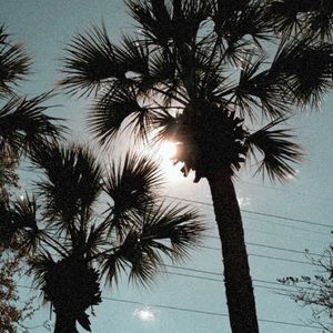 Meet your Posher, Candy